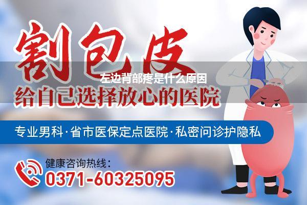 背疼怎么回事男性(男人经常腰酸背痛怎么办)